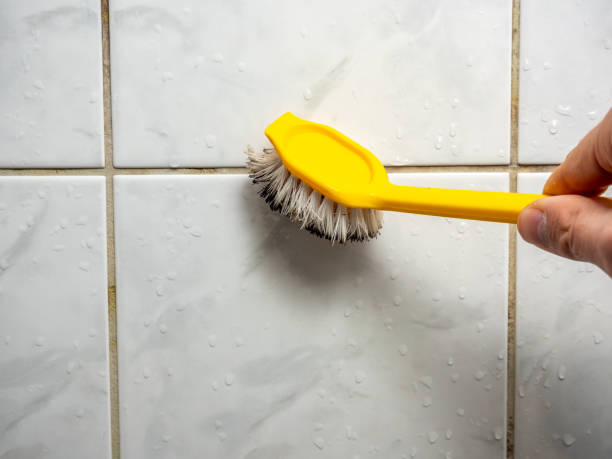 Best Certified Mold Removal  in Rainelle, WV
